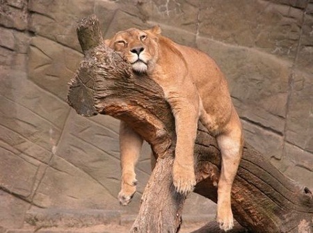 boring